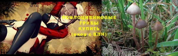 мескалин Ладушкин